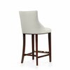 Manhattan Comfort Shubert Barstool in Ivory BS019-IV